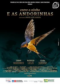 Watch Entre o Ninho e as Andorinhas (Short 2021)