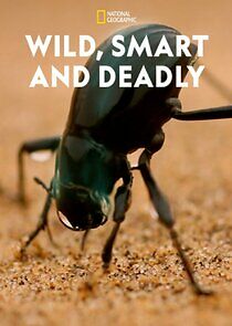 Watch Wild, Smart and Deadly